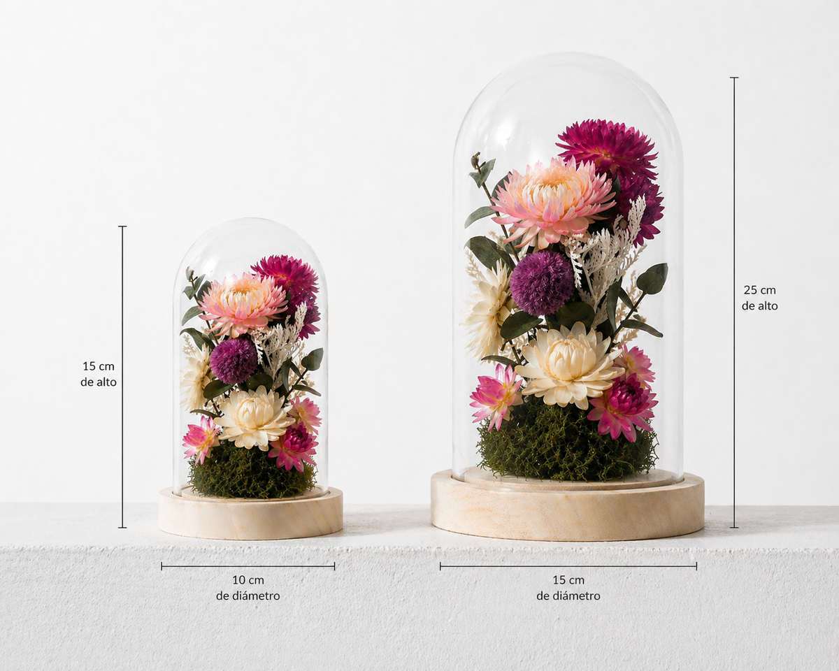 CÚPULA DE FLORES • Flores preservadas